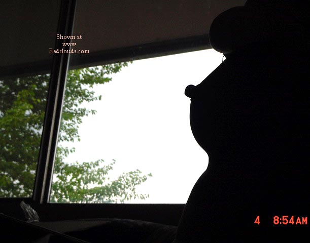 Pic #1"naughty innocence 2"