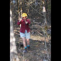 NIP Surveyor