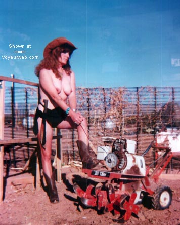 Pic #1Ev's Garden Take 2