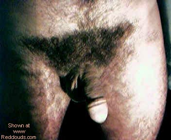 Pic #1M* Valley warrior