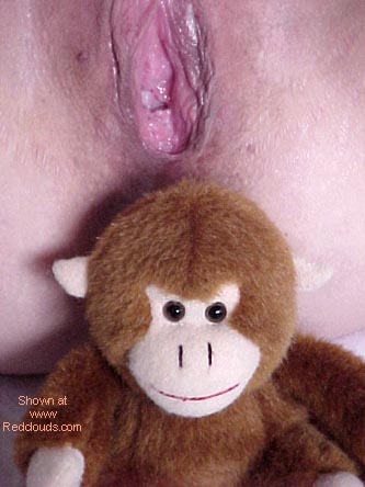 Pic #1S&amp;A - Number 5