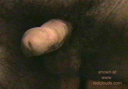 Pic #1Some Privates??