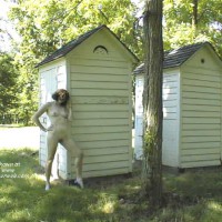 A Day in the Park