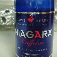 Pic #1B.B.'S Cajun Adventure