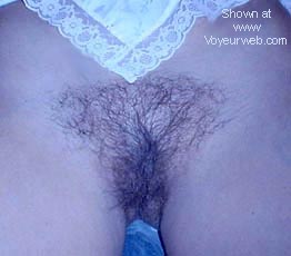 Pic #1More of Bashful