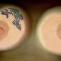Pic #1GF      Tits