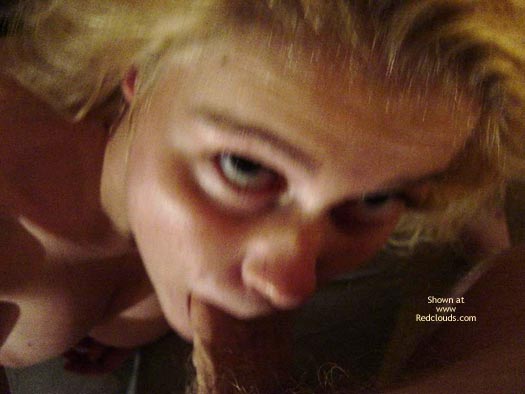 Pic #1Young Dutchies I