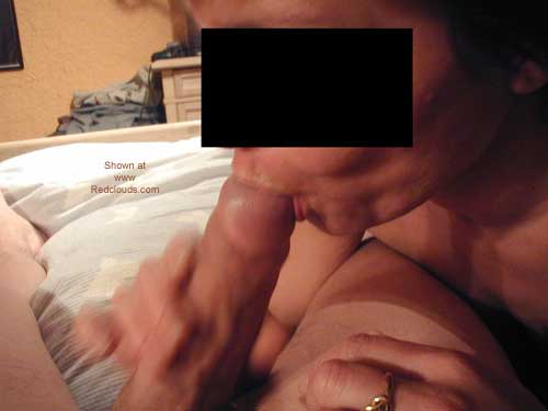 Pic #1Absolute Beginners - South-East Germany