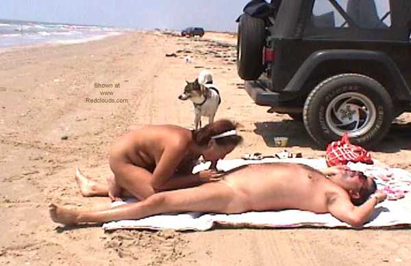 Pic #1Fun At The Beach