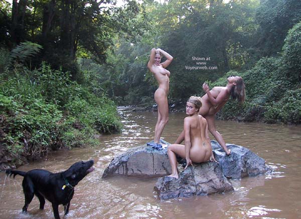 Group Of Girls Playing In The River - Nude Outdoors , Group Of Girls Playing In The River, Mermaids On The Rocks, Howling At The Moon, Three Girls On Creek, Small Titties