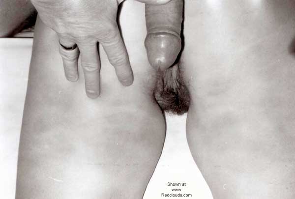 Pic #1K &amp; V Contribution