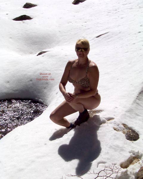 Pic #1Why Dream Of Summer?