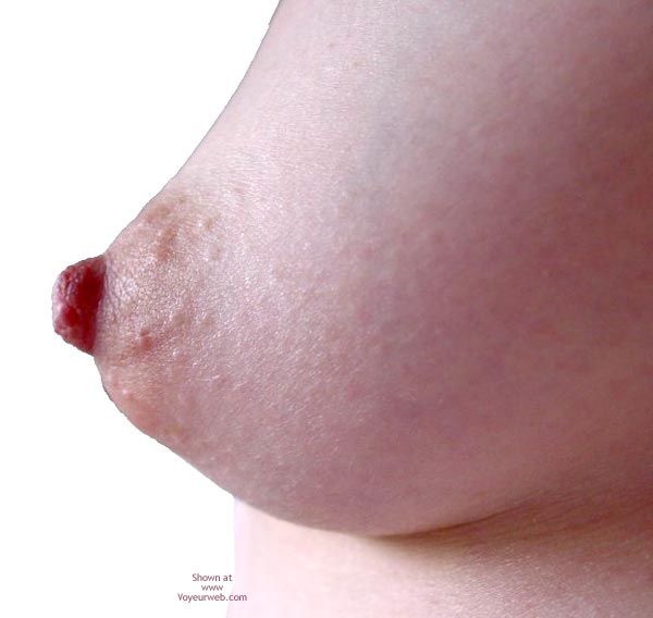 Pic #1My Paradise Return