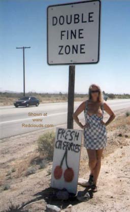 Pic #1Tanda and Her Toy