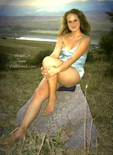 Pic #1Lamb and Grey Wolf