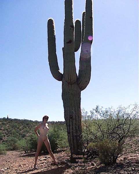 Pic #1Greetings from Holland /Arizona