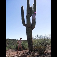Greetings from Holland /Arizona