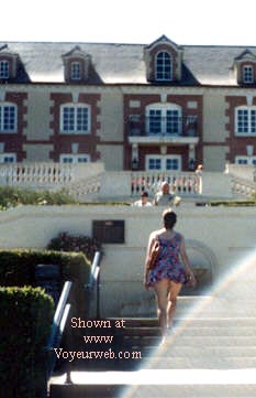 Pic #1Wine Country Fun