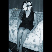 Pic #1Mexicana Caliente Vii