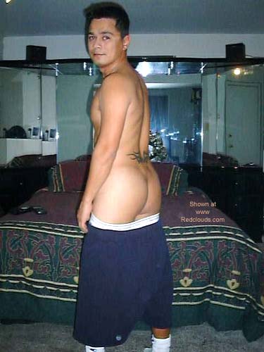 Pic #1M* Pino For The Crazies