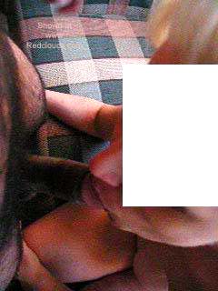 Pic #1Jungel Fever 2