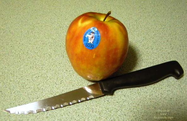 Pic #1*JO Apple Core