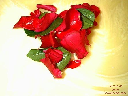 Pic #1from hottub to bath tub