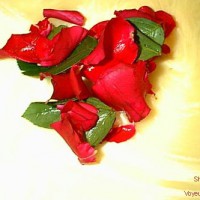 Pic #1from hottub to bath tub