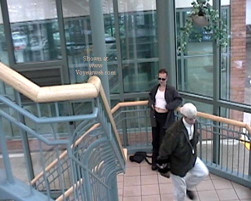 Pic #1Shopping Cart Diaries 2