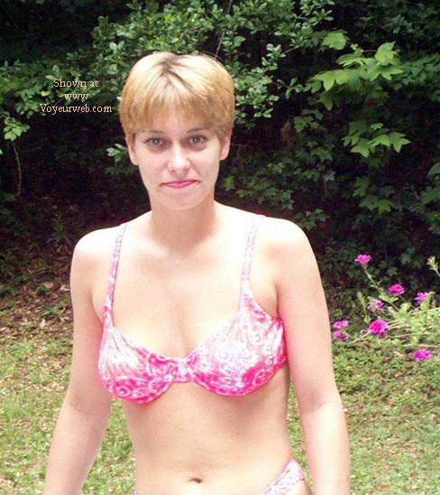 Pic #1What The Artist Saw...