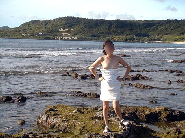Pic #1Asian coastal NIP