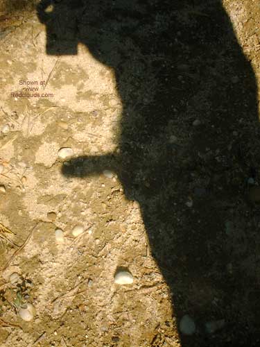 Pic #1M* Shadow of Me