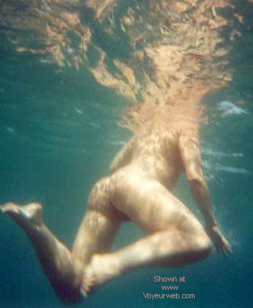 Pic #1Seamammals End