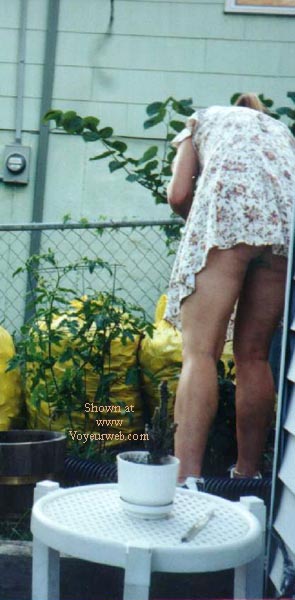 Pic #1My Sweet Neighbor' Ass