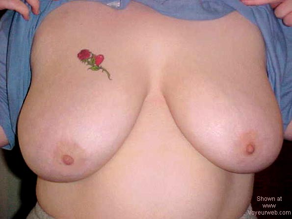 Pic #1My triple D pups..