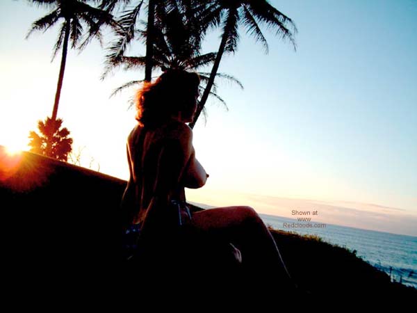 Pic #1*DL Christmas in Hawaii