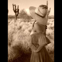 Roseanne's Photo Contributions