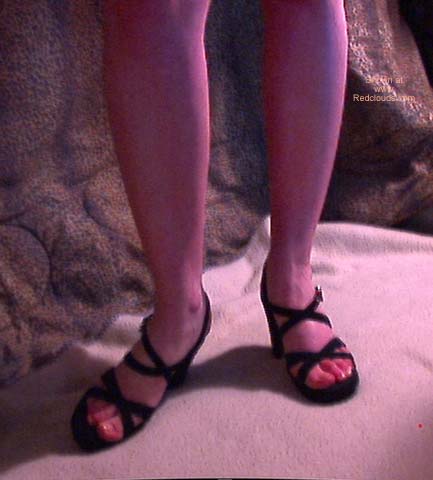 Pic #1SassCat Before New Years Dinner