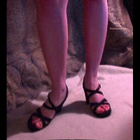 Pic #1SassCat Before New Years Dinner