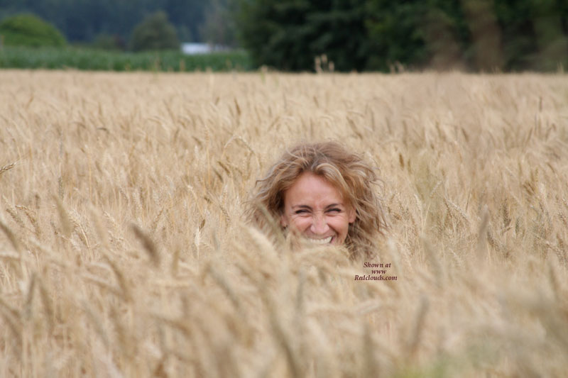 Pic #1Road Trip Wheat Field