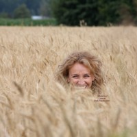 Pic #1Road Trip Wheat Field