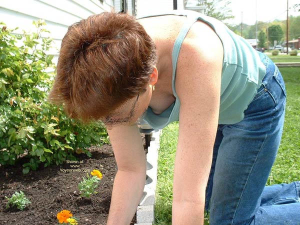 Pic #1Aiming To Please