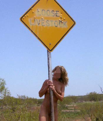 Pic #1Those West Texas Signs