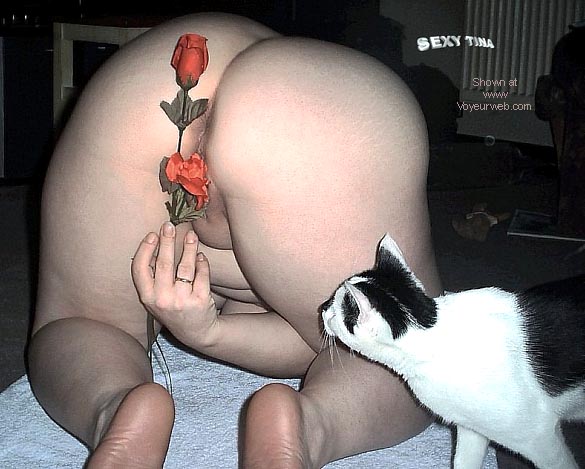 Pic #1SEXYTINA Valentine