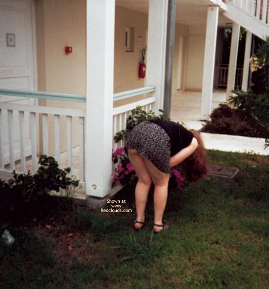 Pic #1The Firt Contribution Of My Bashful Wife