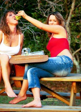 Pic #1Jill And Heather Picnic Fun