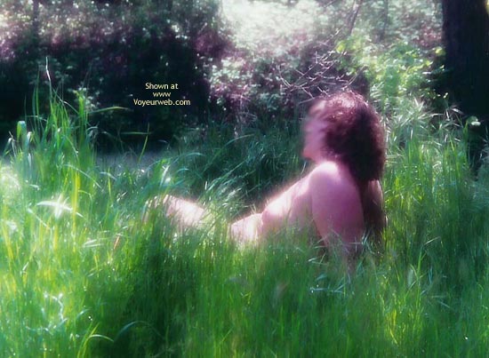 Pic #1 Nor Cal Sunshine