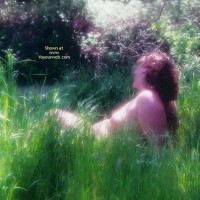 Pic #1 Nor Cal Sunshine