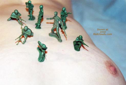 Pic #1MN Brigit in RC Army 1