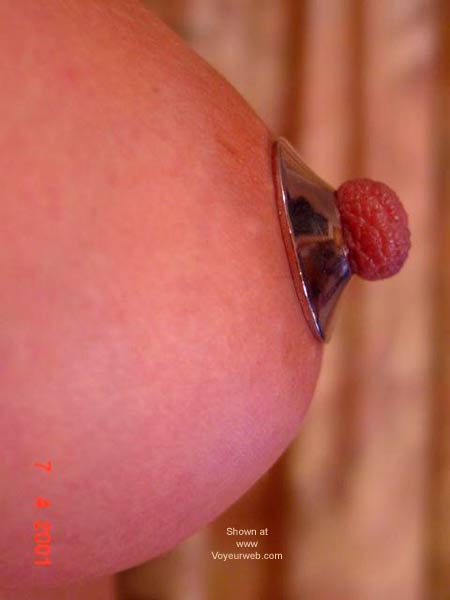 Pic #1*NC Tigerlady Nips to Attention